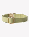 'Green' - Canvas Dog Collar