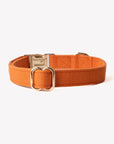 'Terracotta' - Canvas Dog Collar