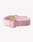 'Pink' - Canvas Dog Collar