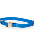 Waterproof Dog Collar | Blue