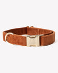 'Clay' - Velvet Dog Collar