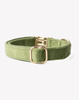'Green' - Velvet Dog Collar