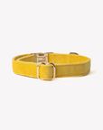 'Yellow' - Velvet Dog Collar