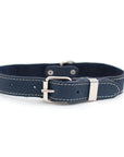 Pro Line Leather Hunting Dog Collar
