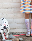 Waterproof Super Soft PVC Dog Leash