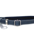 Martingale Leather Dog Collar