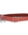 Martingale Leather Dog Collar