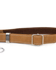 Martingale Leather Dog Collar