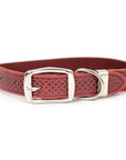Celtic Double Buckle Style Leather Dog Collar