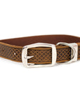 Celtic Double Buckle Style Leather Dog Collar