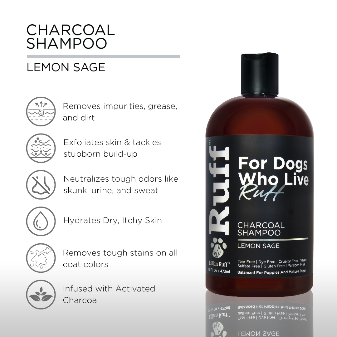 Activated Charcoal Shampoo