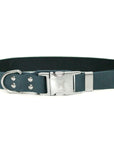 Modern Style Quick-Release Leather Dog Collar