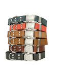 Modern Style Quick-Release Leather Dog Collar