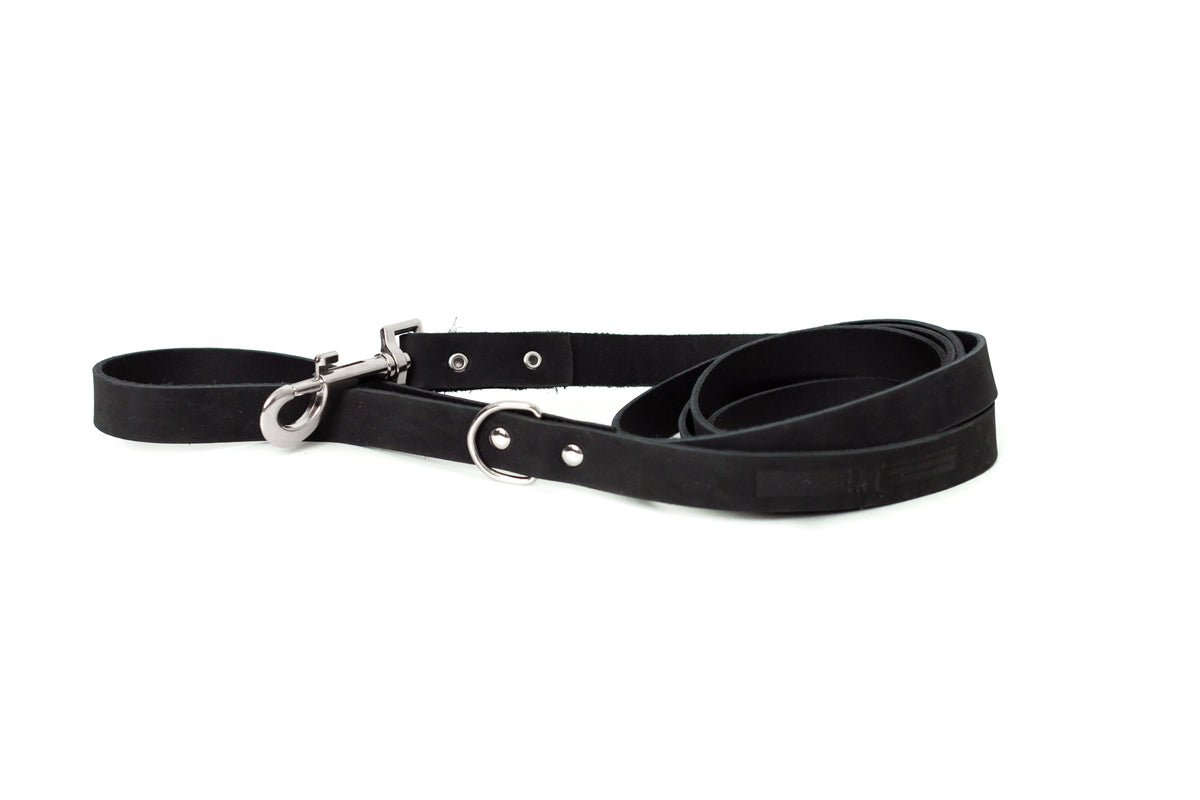 Modern Style Leather Dog Leash