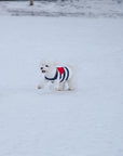 Sailor of My Heart Striped Turtleneck Sweater