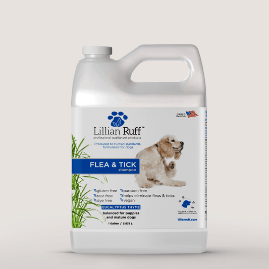 Flea & Tick