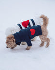 Sailor of My Heart Striped Turtleneck Sweater