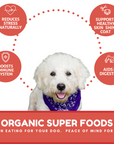 Dog Mamma's Organic Apple Cranberry Recipe - USDA Organic Certified Dog Treats