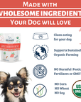 Dog Mamma's Organic Apple Cranberry Recipe - USDA Organic Certified Dog Treats