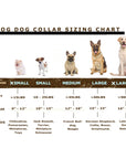 Pro Line Quick-Release Leather Dog Collar with Metal Buckle