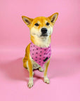 Asanoha Cooling Bandana