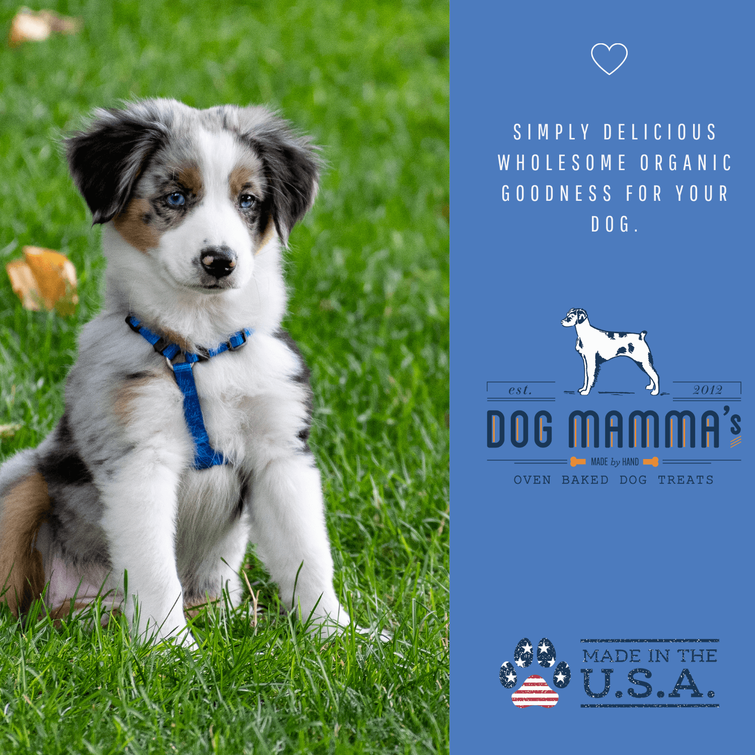 Dog Mamma's Organic Berry Banana Coconut Recipe - USDA Organic Certified Dog Treats