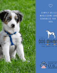 Dog Mamma's Organic Berry Banana Coconut Recipe - USDA Organic Certified Dog Treats