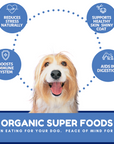 Dog Mamma's Organic Berry Banana Coconut Recipe - USDA Organic Certified Dog Treats