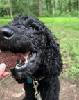 Beef Chips Dog Treats | Single-Ingredient Healthy Treats for Dogs