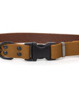 Celtic Sport Quick-Release Leather Dog Collar