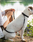 Celtic Sport Quick-Release Leather Dog Collar
