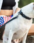 Celtic Sport Quick-Release Leather Dog Collar