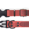 Celtic Sport Quick-Release Leather Dog Collar