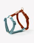 Blue and Clay - Dog Harness