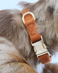 'Clay' - Velvet Dog Collar