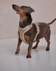 Sand - Velvet Dog Harness