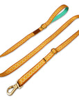Desert Dream Leash