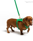 Spring Heritage Harness