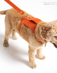 Sunset Heritage Harness