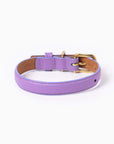 Fairy Collar
