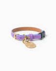 Fairy Cat Collar