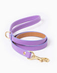 Fairy Leash