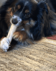 Elk Antler Dog Chews | All-Natural Whole and Split Elk Antler Chews for Dogs