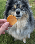 Chicago Chicken Chips for Dogs | Dog Treats To Celebrate Our Hometown