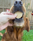 Fish Chips for Dogs | Wild-Caught Fish Dog Treats