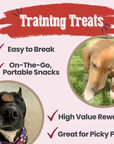 Beef Chips Dog Treats | Single-Ingredient Healthy Treats for Dogs