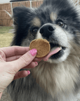 Fish Chips for Dogs | Wild-Caught Fish Dog Treats