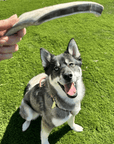 Reindeer Antler Dog Chews | Organic Chews for Dogs