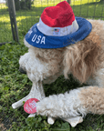Deer Antler Dog Chews | Organic Chews for Dogs