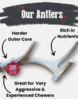 Deer Antler Dog Chews | Organic Chews for Dogs